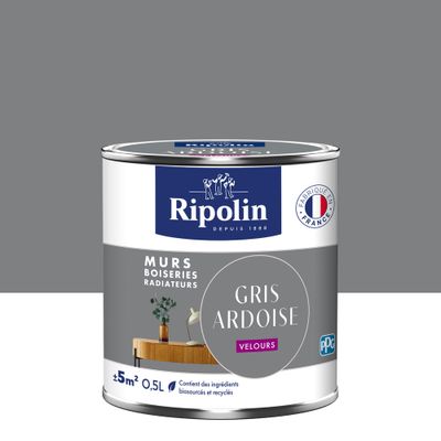 Peinture murs, boiseries et radiateurs gris ardoise velours 0,5 L - RIPOLIN