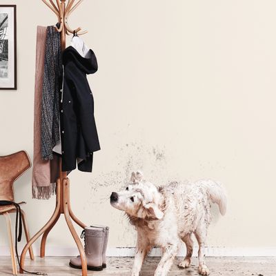 Peinture Color Resist murs et boiseries Lin Naturel mat 500 ml - DULUX VALENTINE