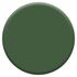 Peinture crème de couleur Vert Tropical mat 0,5L - DULUX VALENTINE
