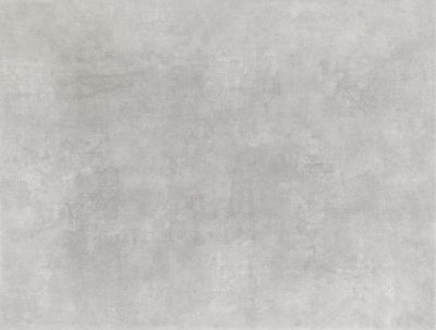 Faïence blanche murale intérieur gris clair LOFT ép 8 mm 25 x 40 cm paquet de 1 m² ELYSSA TRADING
