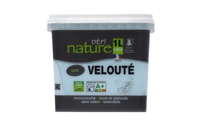 Peinture naturelle murale Givre velours 1 L - DEFI NATURE