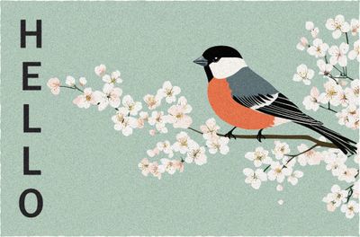 Tapis Boston oiseau 40 x 60 cm - ID HOME