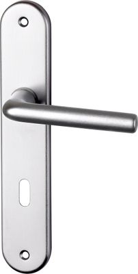 Poignées de porte sur plaques à clé Tignes aluminium argent ALPERTEC