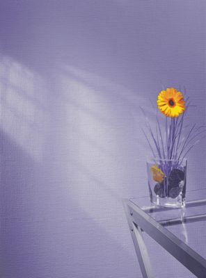 Toile de verre maille de 110 g/m² de 1 x 25 m - LECO