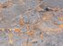 Abattant duroplast Grey Marble WENKO