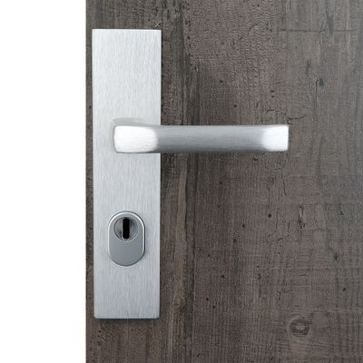 Poignées de porte sur plaques à cylindre sécurité Odin argent ALPERTEC