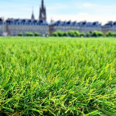 Gazon synthétique Natura 42 mm 1 m x 0,6m AG'CO