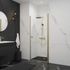 Porte de douche pivotante 100x192 cm profilé or verre transparent 5 mm NewStyle - SCHULTE