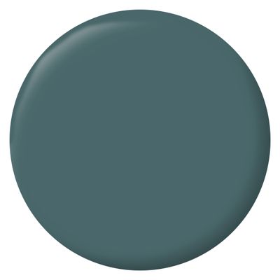 Peinture murs, boiseries et radiateurs vert hosta satin 2,5 L - RIPOLIN