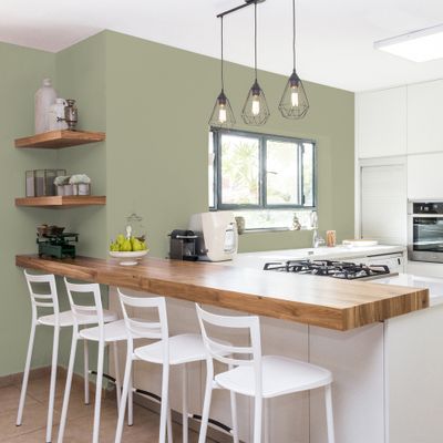 Peinture Cuisine & Bain Vert Gaspésie satin 2L RIPOLIN