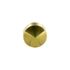 Cache-vis laiton poli diamètre 16 mm par 4