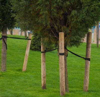 	Piquet bois pin traité autoclave classe 4 - Ø80 x 2000 mm - DEBARGE