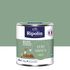 Peinture murs, boiseries et radiateurs vert simsun satin 0,5 L - RIPOLIN