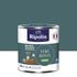 Peinture murs, boiseries et radiateurs vert hosta satin 0,5 L - RIPOLIN