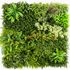 Mur végétal artificiel prairie 1m x 1m AG'CO