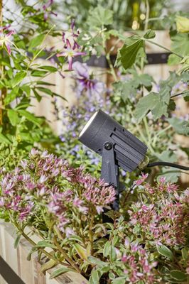 Spots LED extérieur blanc chaud IP67 3x3,5W 3x150 lumens 12V Kit de démarrage - Link+Light PAULMANN