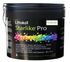 Colle starlike pro sable blanc 2,5kg LITOKOL