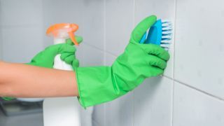 Nomenclature Nettoyage - lessivage des murs