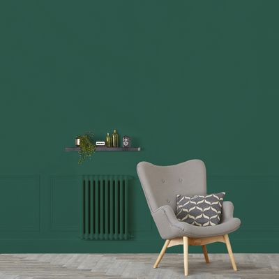 Peinture murs, boiseries et radiateurs vert cardo mat 2,5 L - RIPOLIN