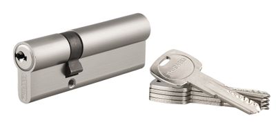 Cylindre de serrure double entrée 30 x 60 mm Trafic 6 haute sécurité nickelé 5 clés THIRARD