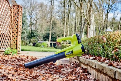 Souffleur de feuilles à batterie 18 V RY18BLA-0 RYOBI