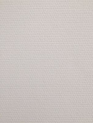Toile de verre prépeinte de 140 g/m² de 1 x 25 m - LECO
