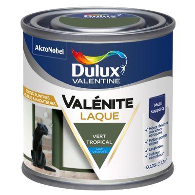 Peinture Boiseries Laque Acrylique Valénite Vert Tropical Mat 125 mL- DULUX VALENTINE