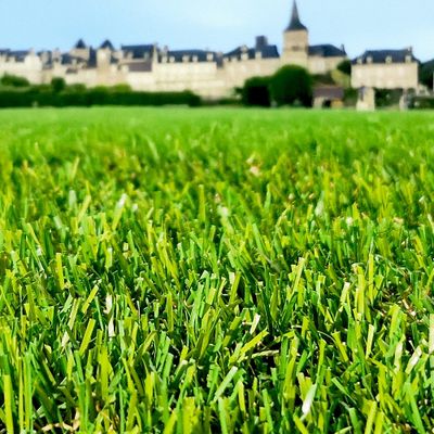 Gazon synthétique Gruissan 35 mm 2 m x 3 m AG'CO