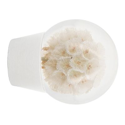 Embout déco fleure sèche à visser en bois diam 28 mm Finition Blanc laqué - MOBOIS