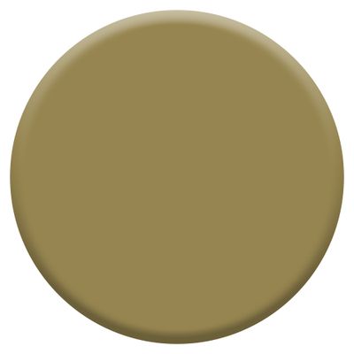 Testeur couleur Tapenade 30ml - DULUX VALENTINE
