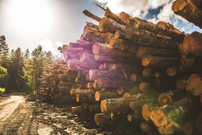 Pellets Hickory - sac de 9 kg