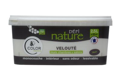 Peinture naturelle murale Galet velours 2,5 L - DEFI NATURE
