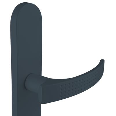 Poignées de porte sur plaques à cylindre Ibiza gris ALPERTEC