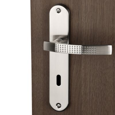 Poignées de porte sur plaques à clé Audace nickel mat ALPERTEC