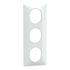 Plaque de finition 3 postes verticale blanc - Ovalis SCHNEIDER ELECTRIC