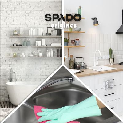 Acide citrique poudre Ecocert 800g SPADO ORIGINES