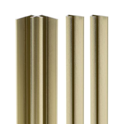 Profilés d'angle or mat 2x finitions 1x angle intérieur pour panneaux muraux 210 cm - SCHULTE