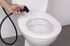 Pack hygiène pour WC avec douchette Abs noir QUICK PLOMBERIE