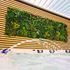 Mur végétal artificiel jungle 1m x 1m AG'CO