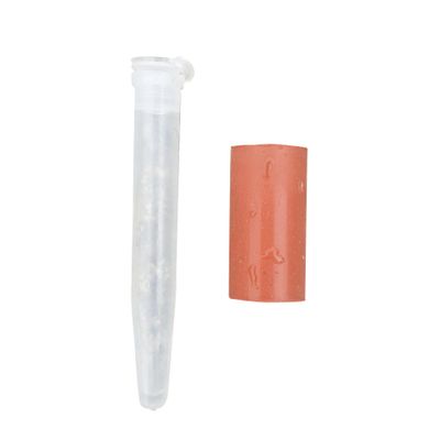 Recharge pour piège à punaise diabolique