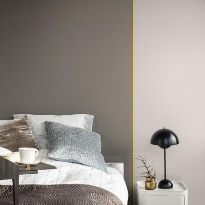 Peinture crème de couleur Terre Cendrée Satin 0,5 L - DULUX VALENTINE