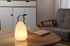 Lampe à poser solaire et rechargeable IP44 - GAO