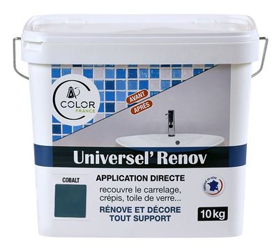 UNIVERSEL RENOV Bleu Foncé COBALT 10kg - COLOR FRANCE