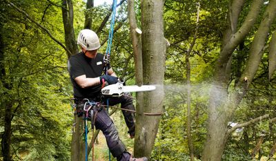 Chaine, 1/4lp 043 24ap 35cm OREGON