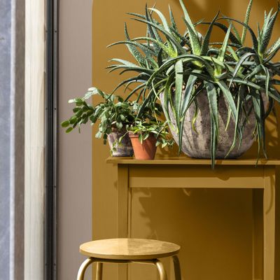 Bombe de peinture Color Touch ocre doré satin 400 mL - DULUX VALENTINE