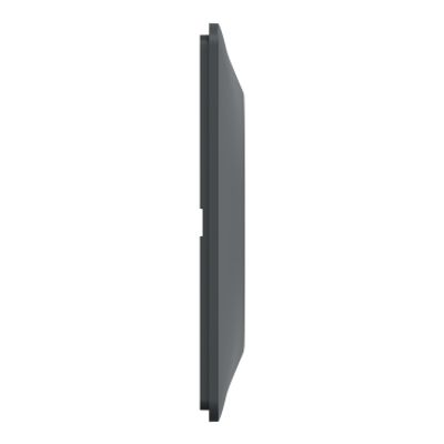 Plaque de finition 2 postes horizontal anthracite/ laiton - Ovalis SCHNEIDER ELECTRIC