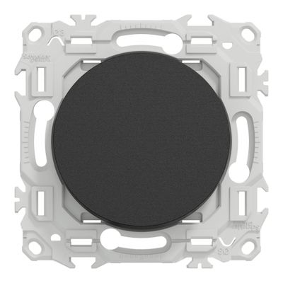Interrupteurs va-et-vient ou poussoirs Odace 2025 noir par 10 - SCHNEIDER ELECTRIC