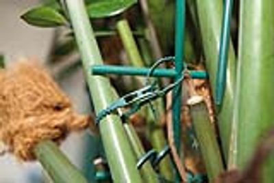 Liens horticoles crantés en plastique 13 cm par 50 - WINDHAGER