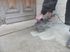 Ponceuse rénovateur extérieur 1300 W REX120C + brosse laitonnée diamètre 120 mm FARTOOLS