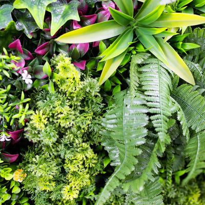 Mur végétal artificiel superjungle 1m x 1m AG'CO